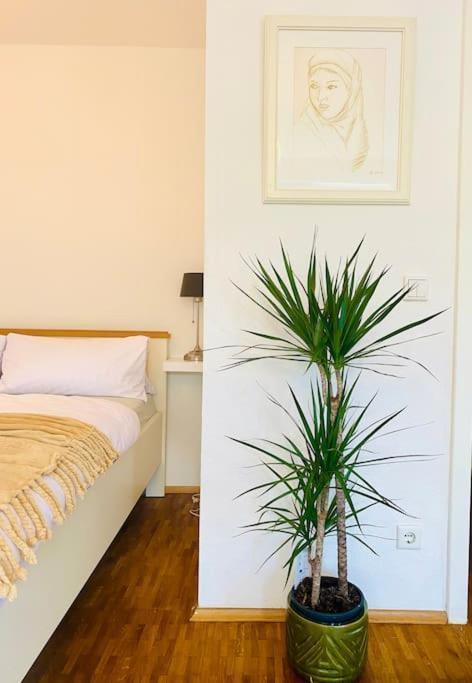 Nice And Calm Apartment In Duesseldorf Dış mekan fotoğraf